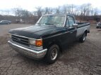 Thumbnail Photo 0 for 1989 Ford F150 2WD Regular Cab
